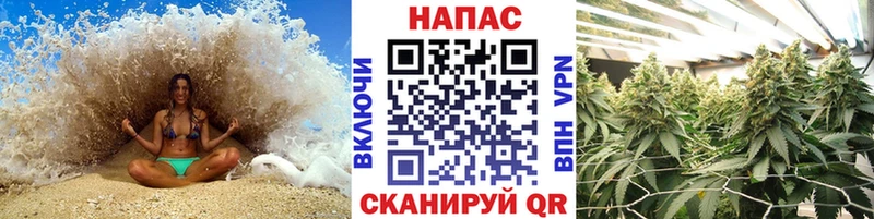 Где купить Сегежа Псилоцибиновые грибы  Меф мяу мяу  Амфетамин  Марихуана  ГАШ  A-PVP 