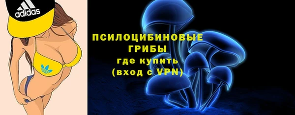 СК Балахна