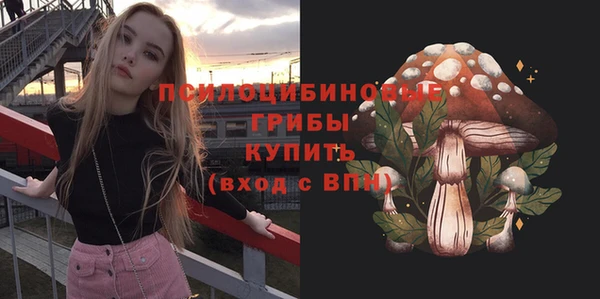 СК Балахна